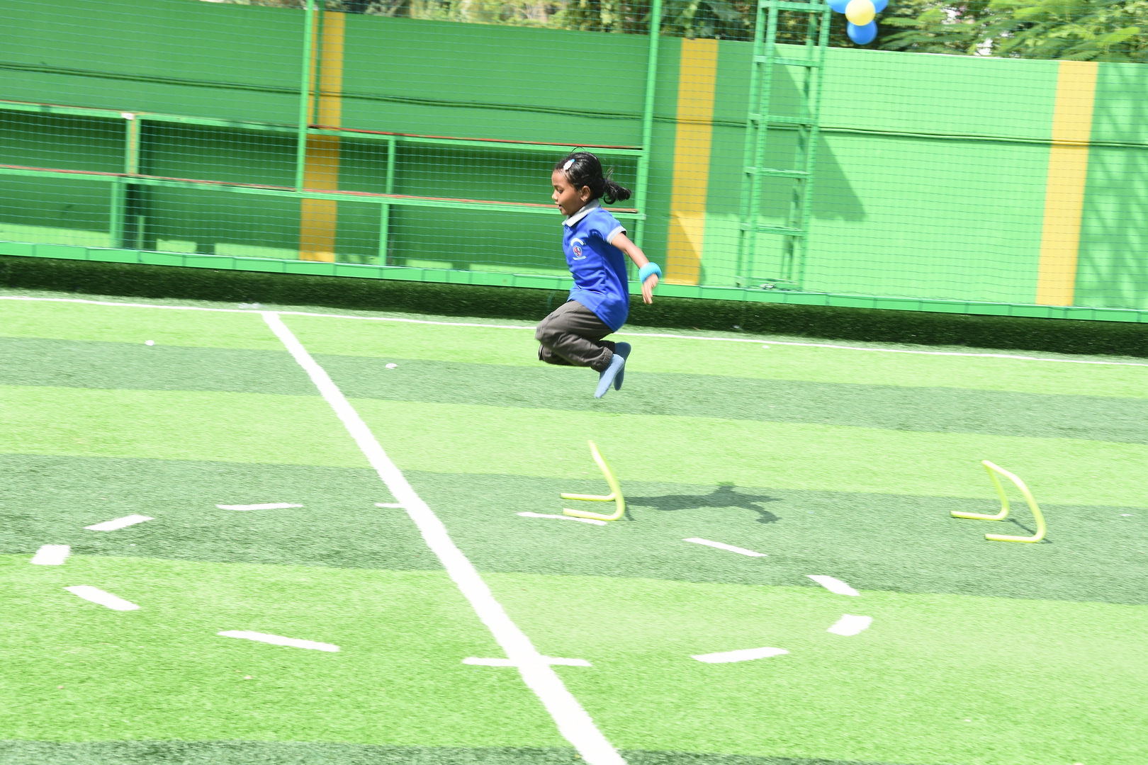 DSC_5537.jpg